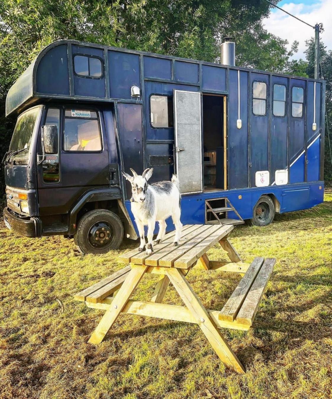 North Yorkshire Horse Box Hotell Exteriör bild